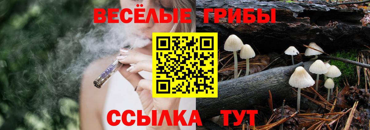 Псилоцибиновые грибы Psilocybine cubensis Отрадный